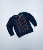 Свитшот для мальчика TRP4875