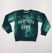 Свитшот для мальчика TRP3060