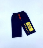 Шорты для мальчика TRP7309