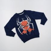 Утепленный свитшот для мальчика TRP3252